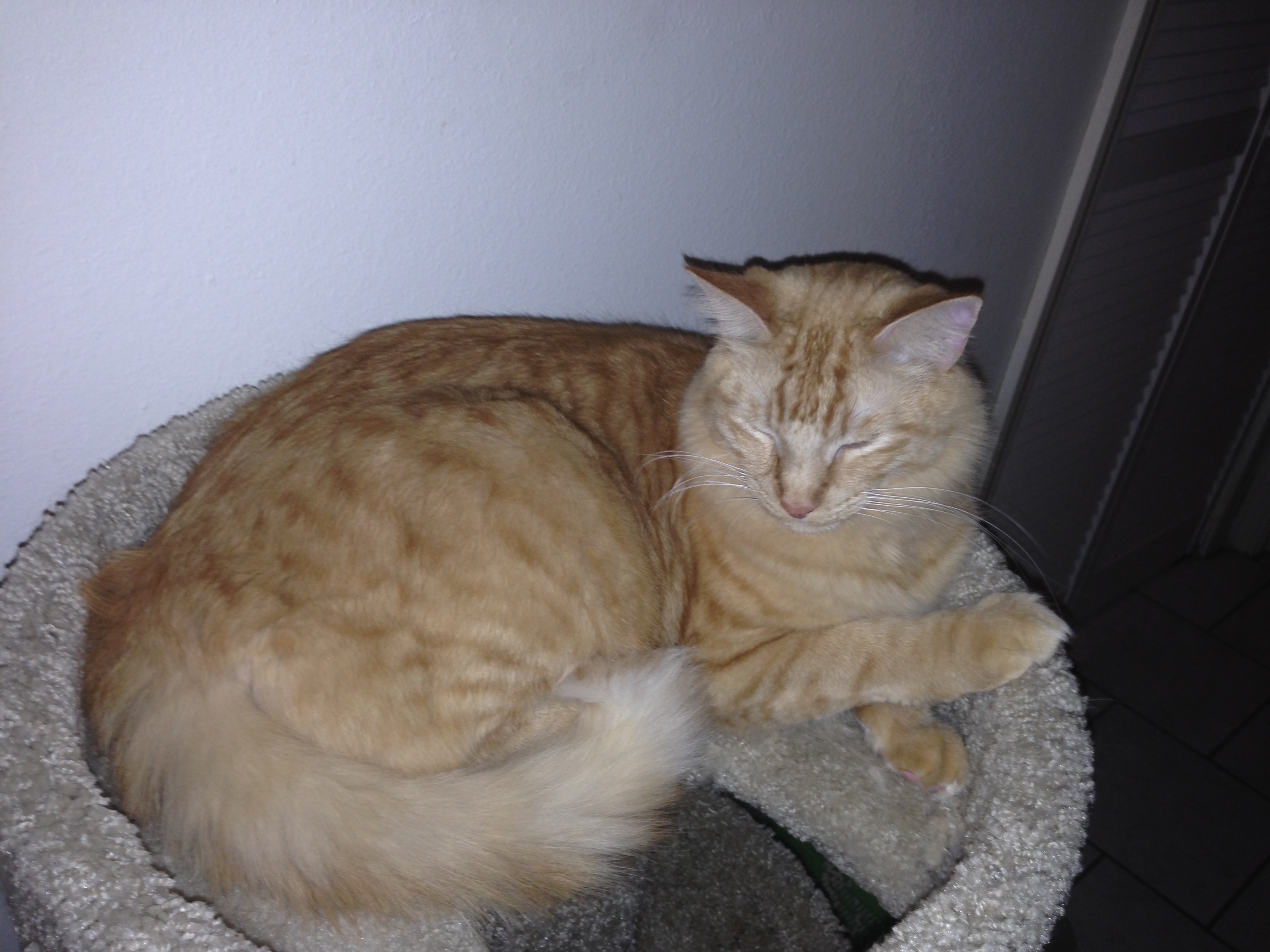 Tony relaxing
